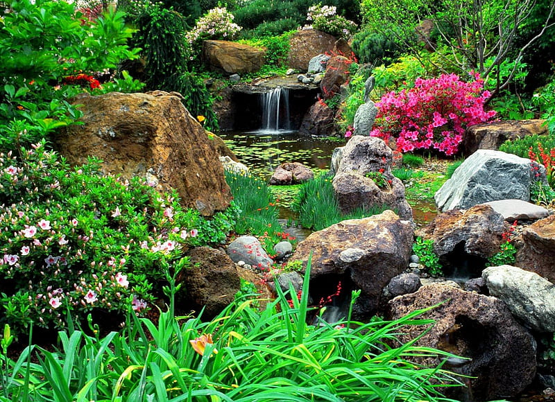 Beautiful garden, forest, stream, rocks, greenery, park, creek, stones, cascades, summer, waterfall, flowers, garden, nature, HD wallpaper