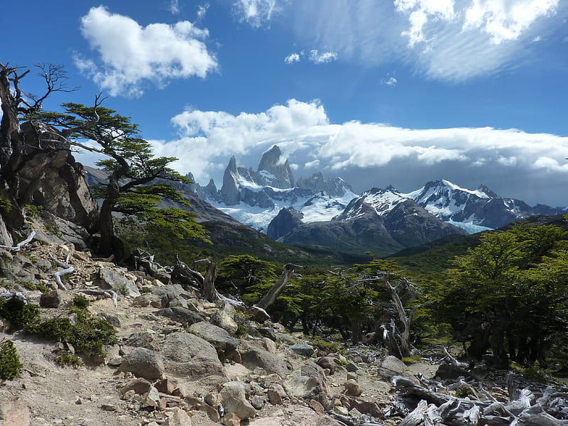 Alpine Country, bonito, clouds, pines, skies, capped, snow, mountains, nature, forests, blue, HD wallpaper