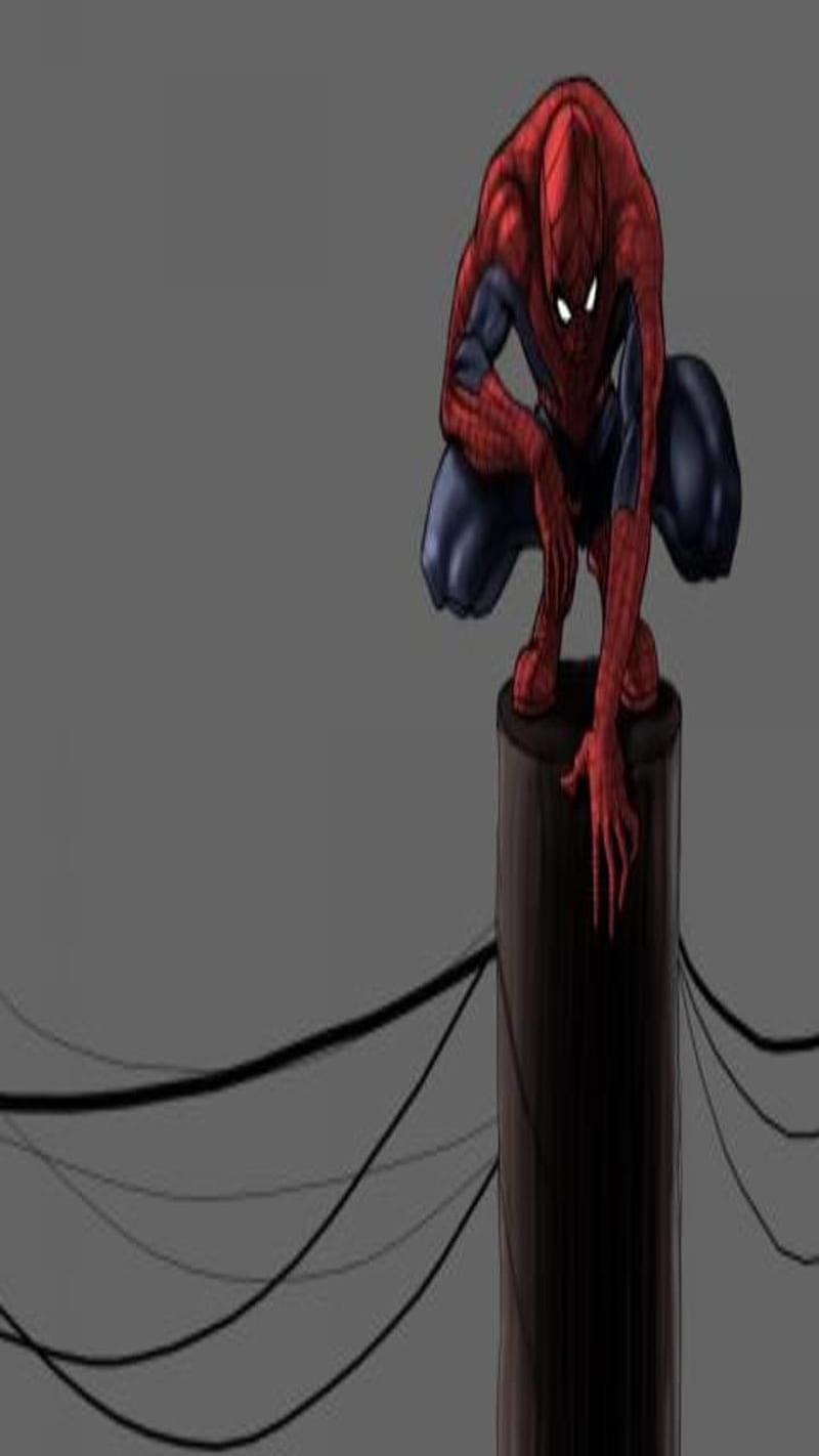 Spiderman, cartoons, HD phone wallpaper