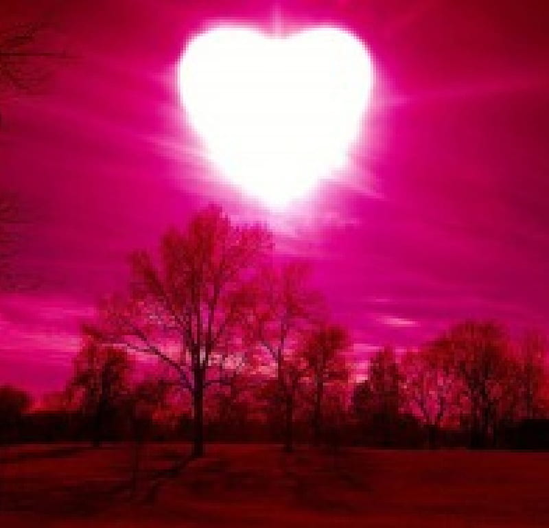 Pink Sunset Full of Love, sk, love, heart, nature, sunset, pink, HD  wallpaper | Peakpx
