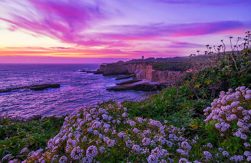 Purple coastal sunset, purple, wildflowers, sea, coast, view, beautiful, rocks, sunset, sky, HD wallpaper