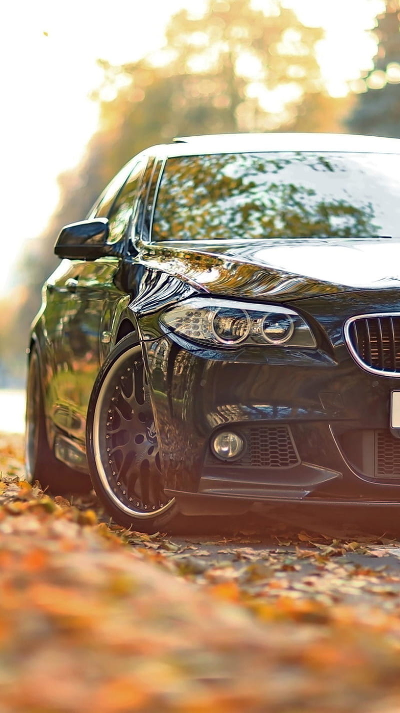BMW 5 Series, 5 series, auto, car, f10, m sport, sedan, vehicle, HD phone wallpaper
