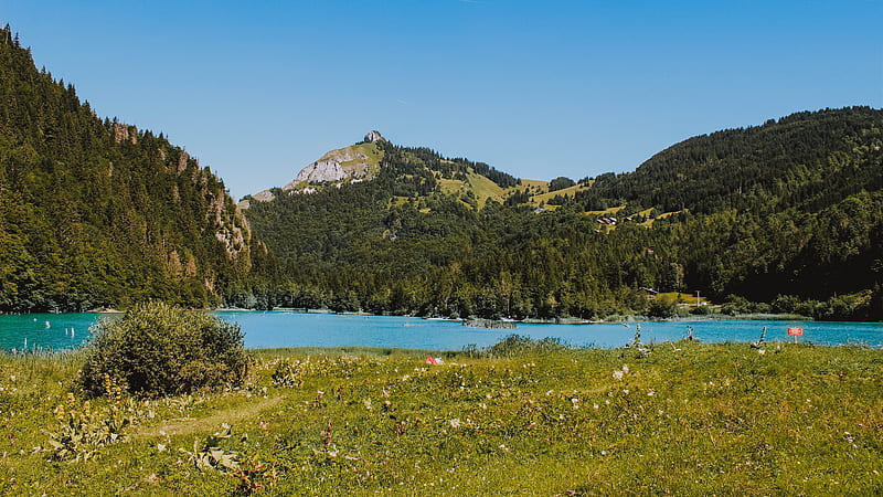 Body of water between grass trees and mountains, HD wallpaper | Peakpx