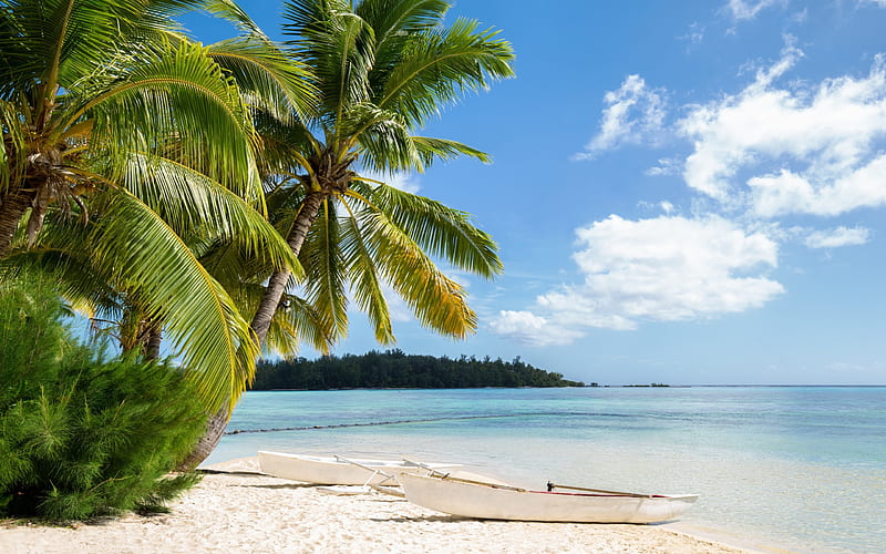 tropical islands, sea, beach, white boat, palm trees, summer travels, HD wallpaper