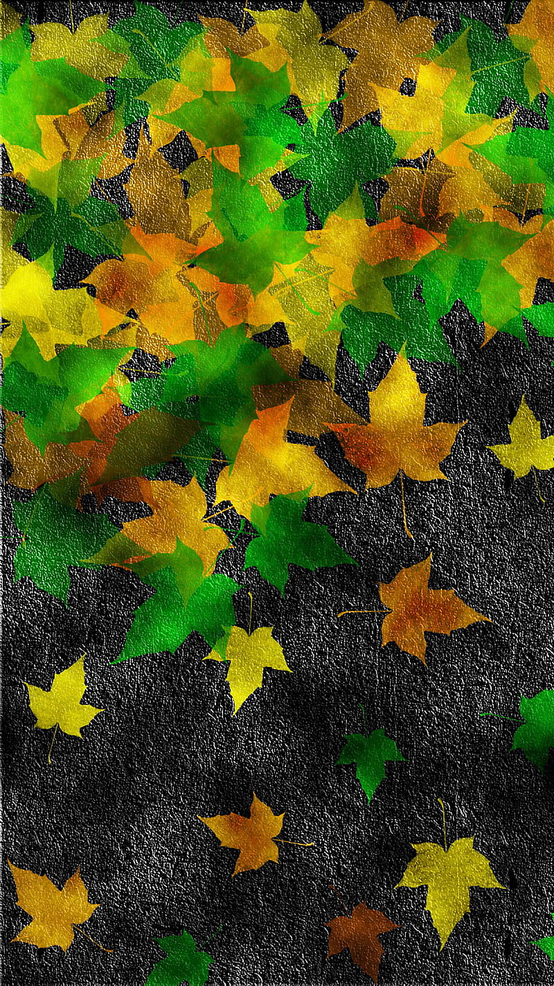 mapple leaves, autumn, fall, leaves, maple, nature, HD phone wallpaper