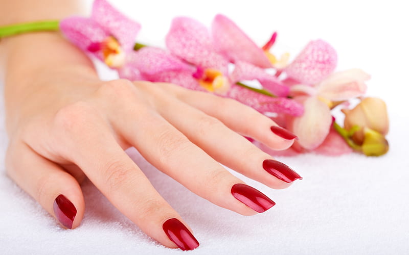 Red nails, red, orchid, flower, hand, nails, woman, pink, HD wallpaper