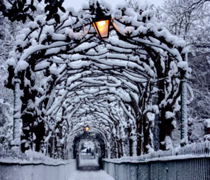 Beautiful Winter Land, bonito, Snow, Land, Winter, HD wallpaper