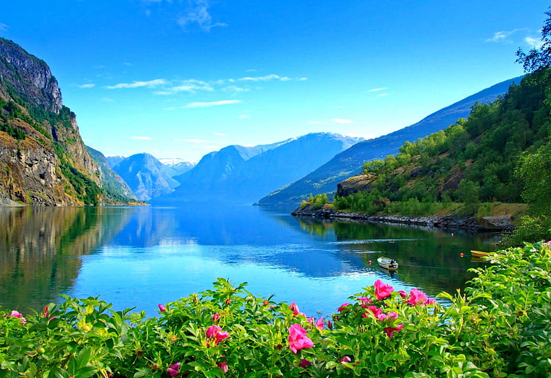 Summer wildflowers, summer, flowers, fjord, sky, lake, Norway, view, bonito, mountain, boat, reflection, HD wallpaper