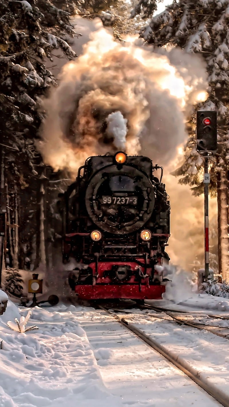 Train , landscape, locomotive, nature, nights, smoke, snowy, steam, trains, HD phone wallpaper