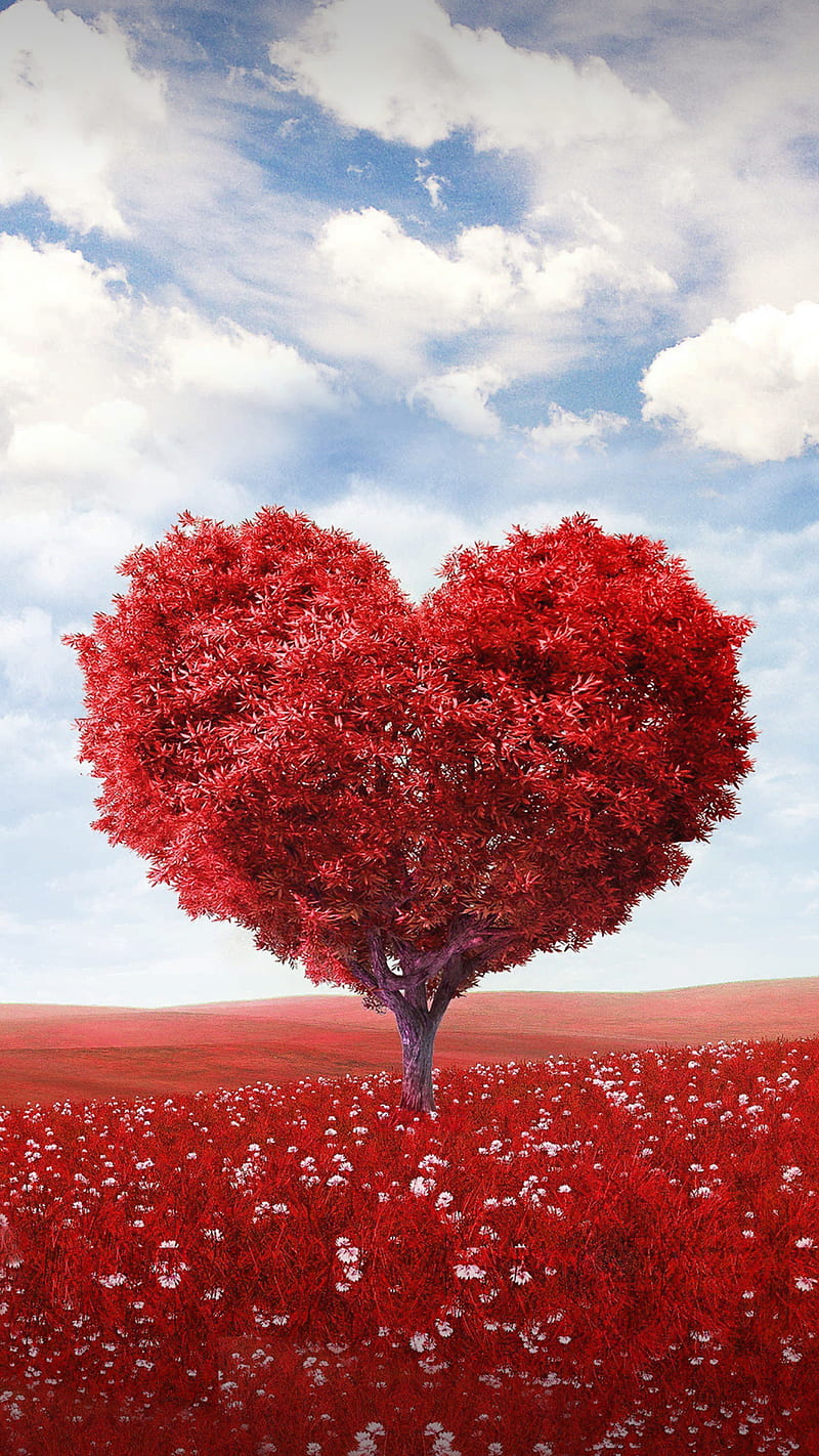 Love tree, corazones, heart, flowers sky, amour, para, coeur, HD phone wallpaper