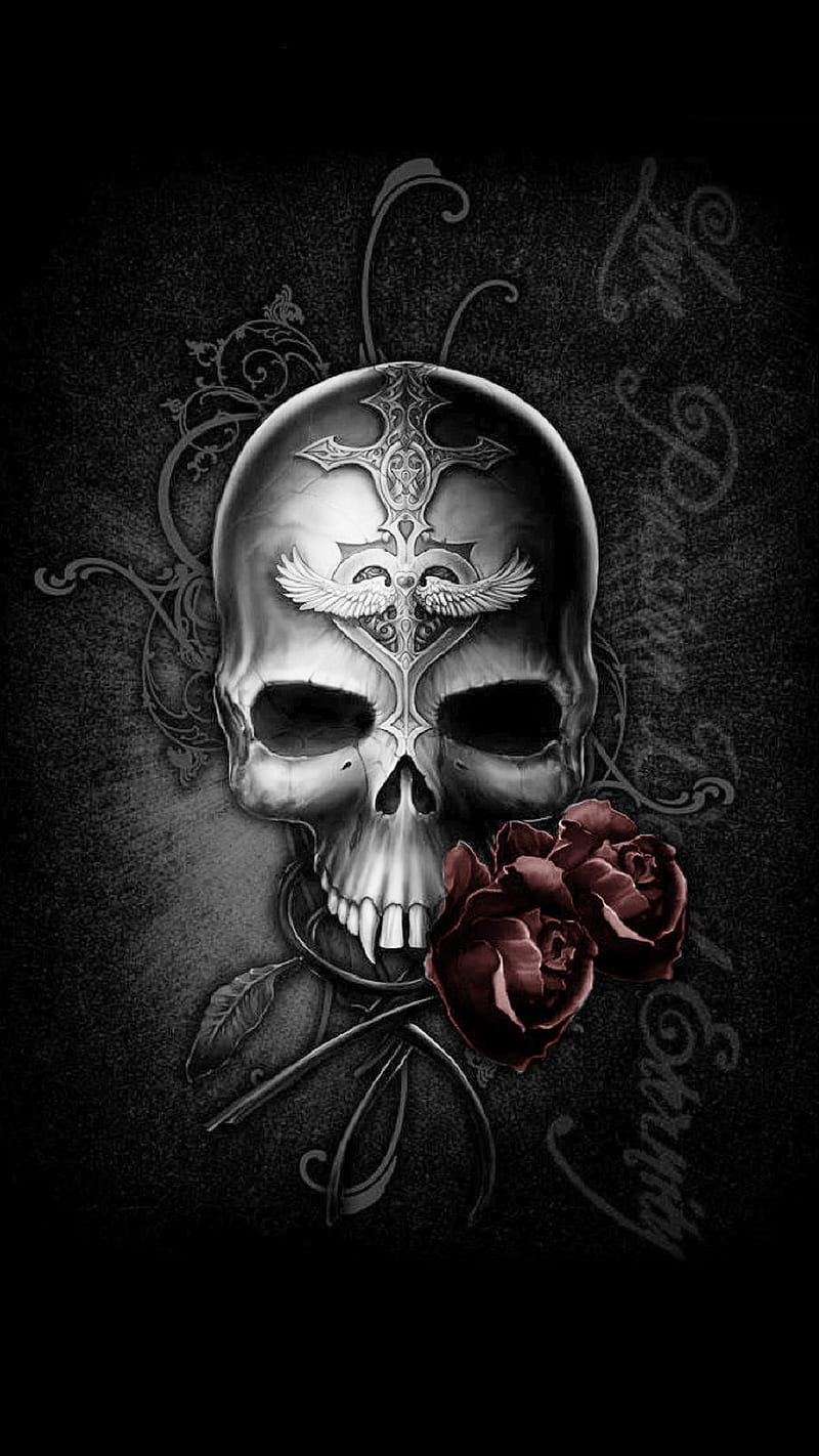 skull and roses wallpaperTikTok Search