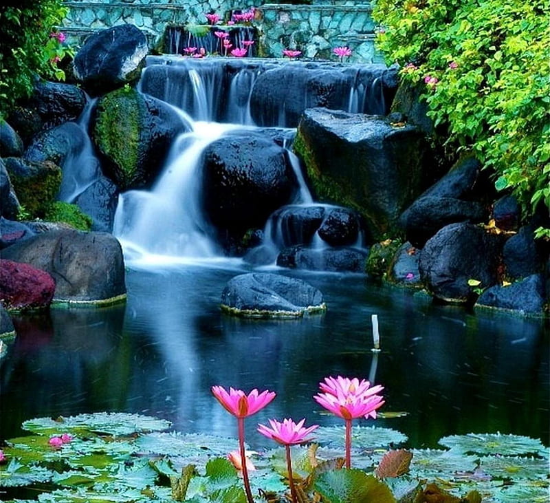 Paradise waterfall, nature, lotus, pink, HD wallpaper