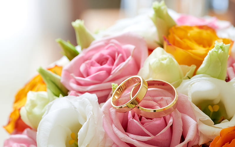 wedding rings, gold jewelry, pink roses, wedding concepts, gold rings, HD wallpaper