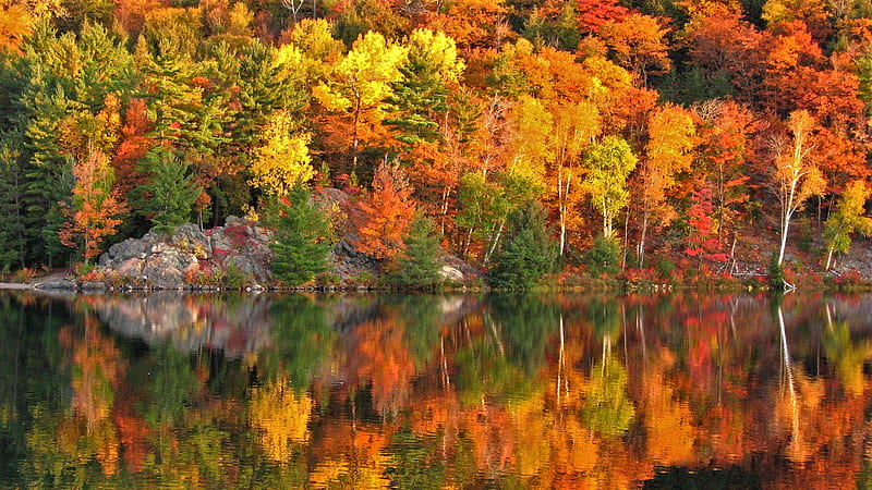 Yellow Green Orange Red Autumn Leaves Trees Reflection On River Autumn ...