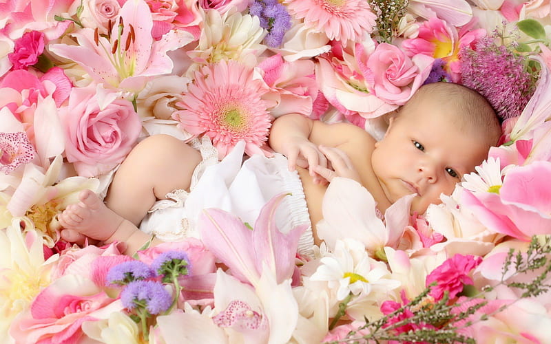 bebe rosa, cute, mija, bebe, love, HD wallpaper
