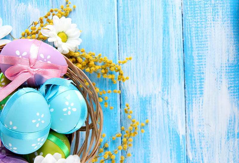Easter, decoration, spring, camomile, eggs, flowers, pastel, mimosa, daisy, wood, blue, HD wallpaper