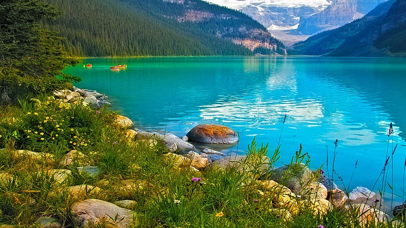 Summer at Lake Louise, Banff NP, Alberta, stones, landscape, flowers, water, mountains, canada, rocks, HD wallpaper