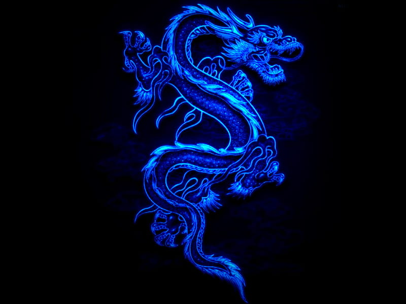 black and blue dragons