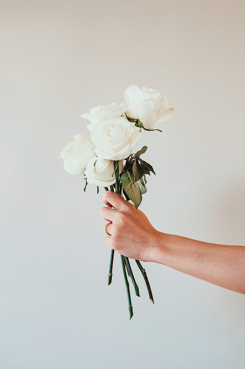 roses, white, bouquet, flowers, hand, HD phone wallpaper