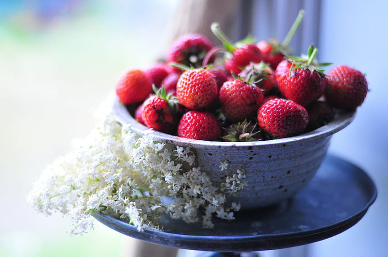 Taste of Summer , lovely, strawberry, food, bonito, sweet, graphy, flowers, strawberries, bowl, HD wallpaper