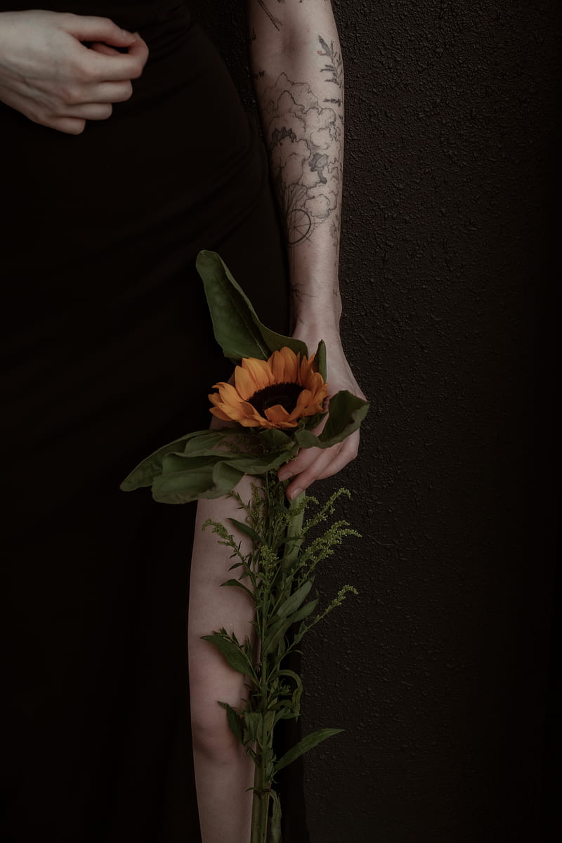 girl, hand, sunflower, flower, tattoo, HD phone wallpaper