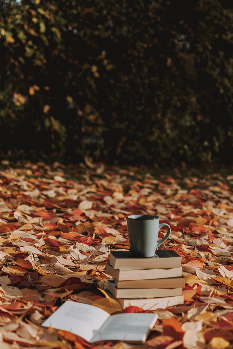 mug, books, foliage, autumn, HD phone wallpaper