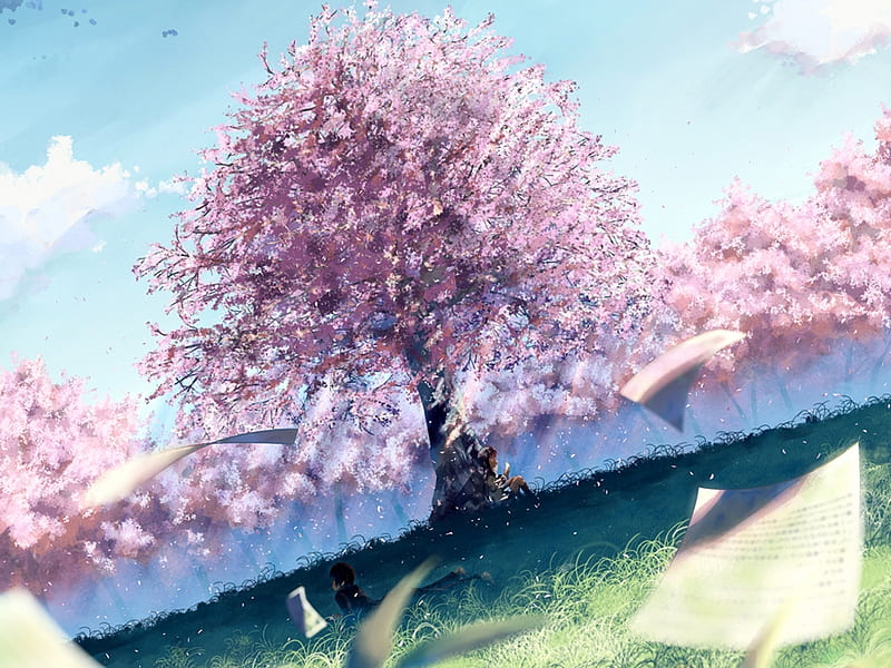 Lost poem, sakura, tree, boy, blossom, girl, poem, anime, flowers, petals, field, landscape, HD wallpaper