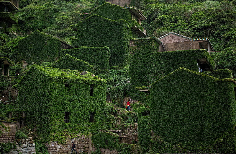 Abandoned Houtouwan, Houtouwan, Overgrown vegetation, China, Houses, Abandoned, HD wallpaper