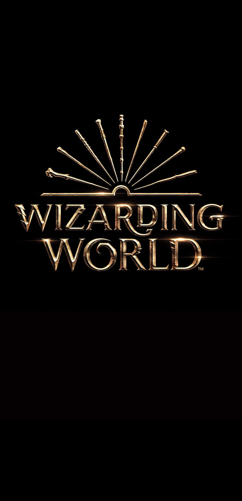 Wizarding World, wizard, fantastic, beasts, grindelwald, hogwarts, harry, potter, HD phone wallpaper