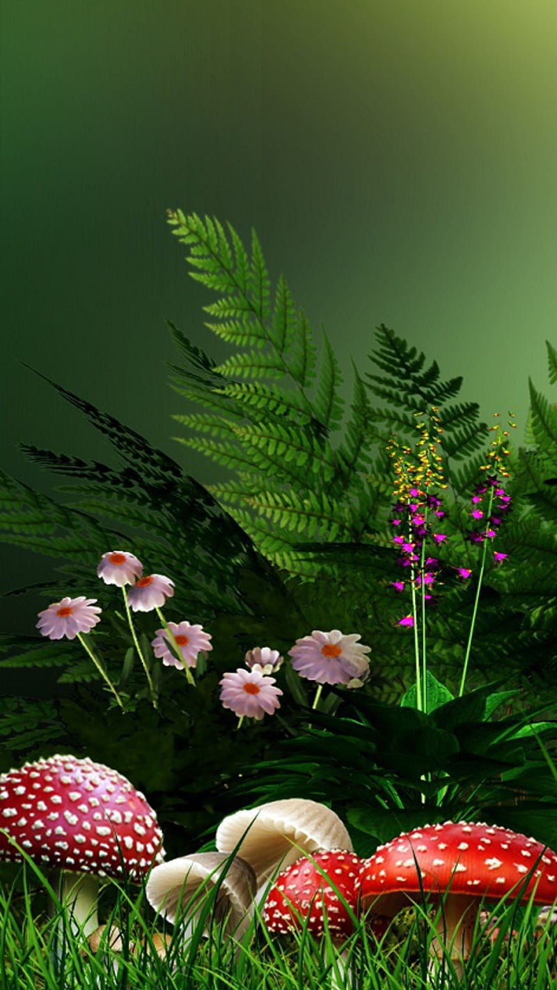 NATURE , flower, HD phone wallpaper