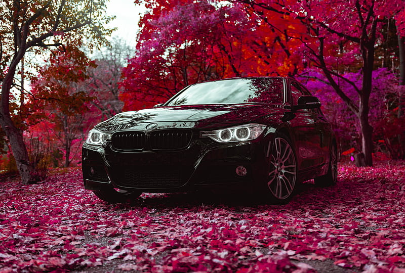 HD wallpaper: BMW F30, 335i, Tuning