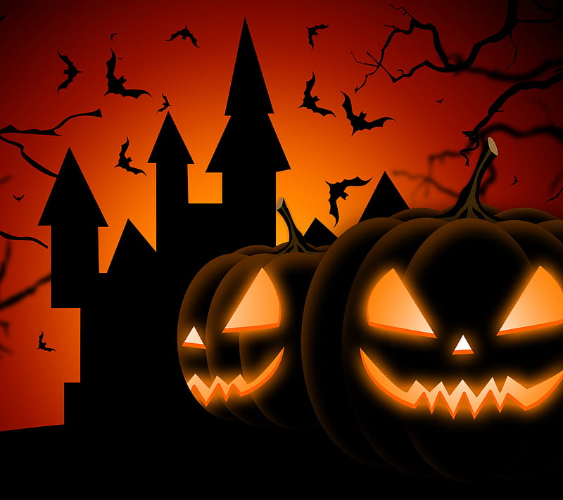 Trick or treat, HD wallpaper