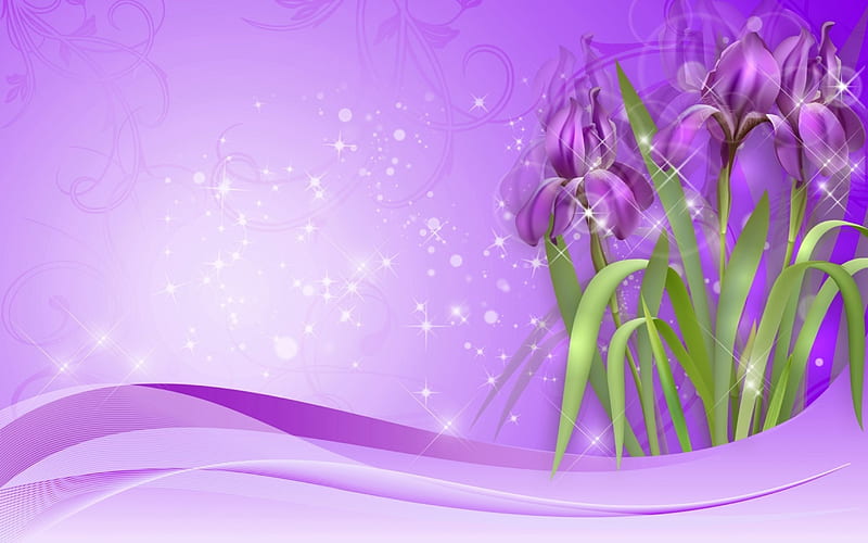 Irises, purple, green, texture, flower, abstract, pink, card, iris, HD wallpaper