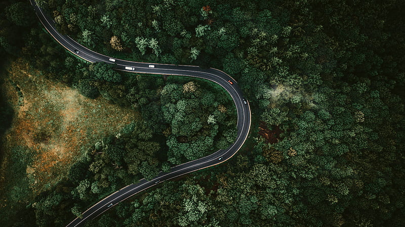 aerial view of road in the middle of green trees, HD wallpaper