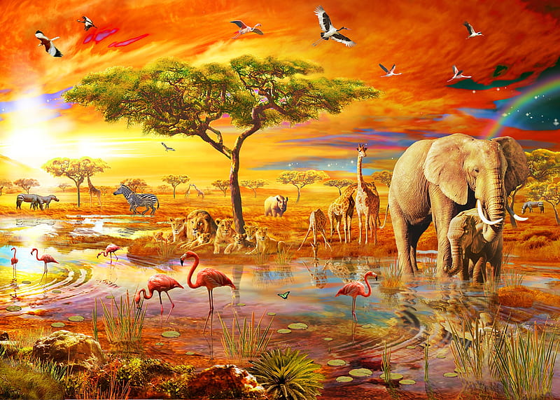 AFRICA, luminos, orange, elephant, yellow, flamingo, fantasy, water, vara, tree, bird, adrian chesterman, summer, animals, HD wallpaper