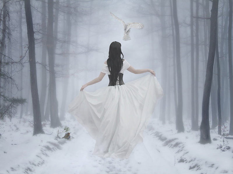 Snow angel, owl, white lace dress, pathway, snow, birds, trees, women, HD wallpaper