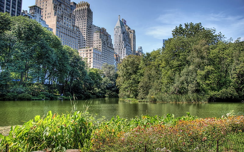 Central Park, architecture, new york, buildings, bonito, sua, park ...