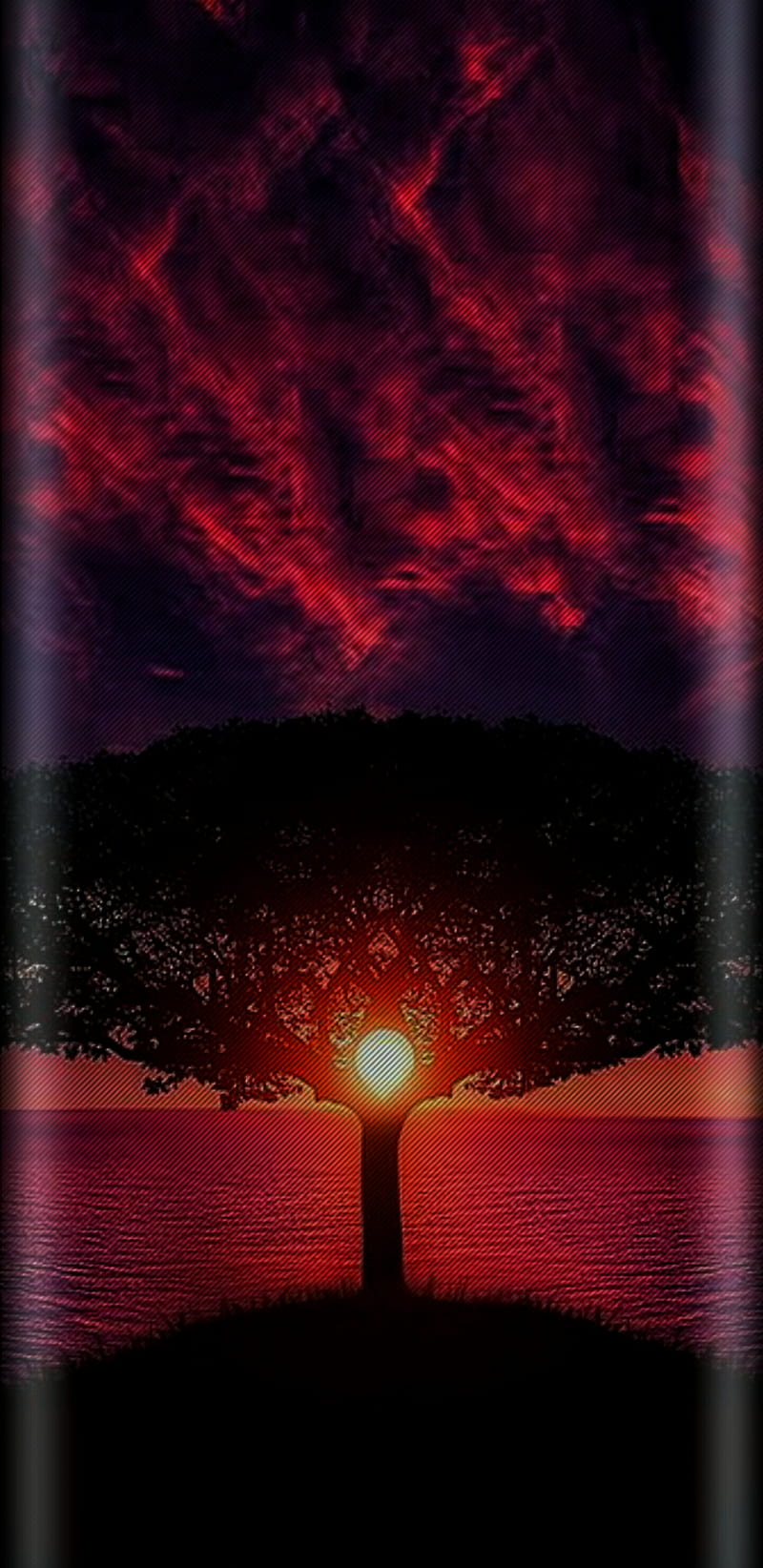 Sunset Ocean, sunset, ocean, tree, sun, afternoon, pink, purple, lovely, light, bright, HD phone wallpaper