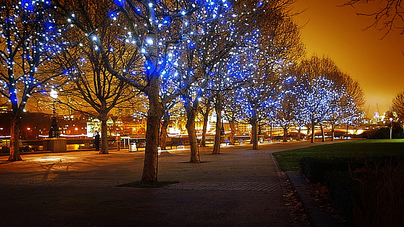 Christmas Light Up, warm, cool, awesome, blue amazing, beauty, fascinating, HD wallpaper