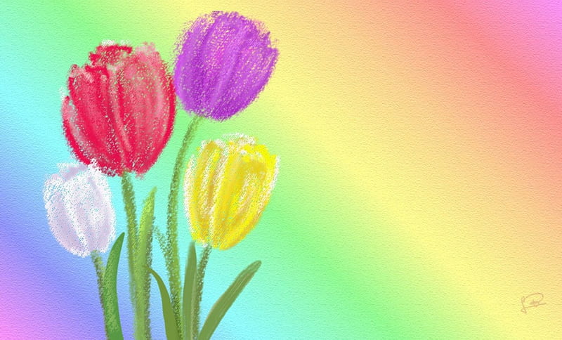 tlipanes 05art, colors, tulipanes, blumen, natur, flowers, tulips, tulpen, nature, flowers, dibujo, HD wallpaper