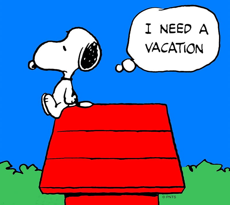 Snoopy Vacation, HD wallpaper