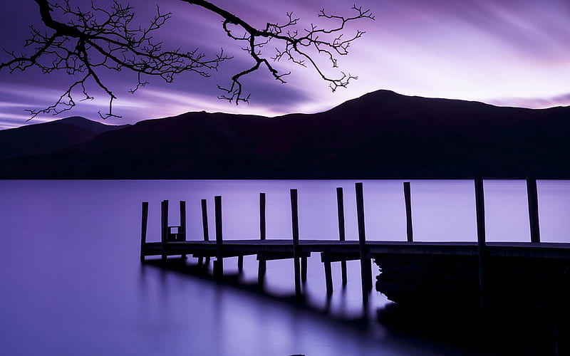 Purple Dusk, purple, dusk, nature, HD wallpaper