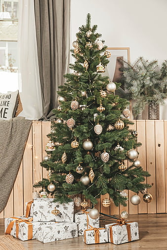 Christmas gift, fur-tree, christmas, holiday, new year, fireplace, girl ...