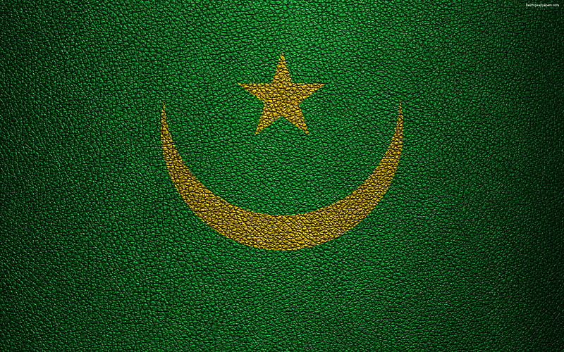 Форма флага мавритании. Флаг Мавритании. Исламская Республика Мавритания флаг. Флаг Мавритании квадратный. Флаг Мавритании фото.