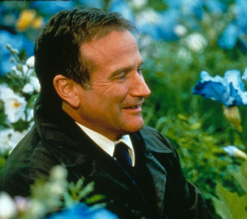 Robin Williams, film star, standup comedian, HD wallpaper | Peakpx