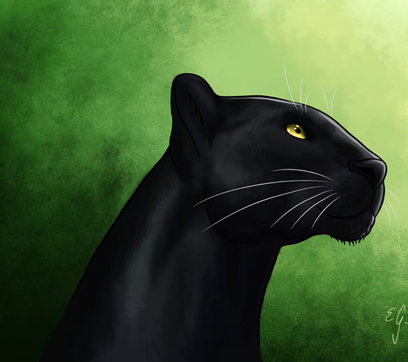 Sebastian = Panther by kuro-br on DeviantArt