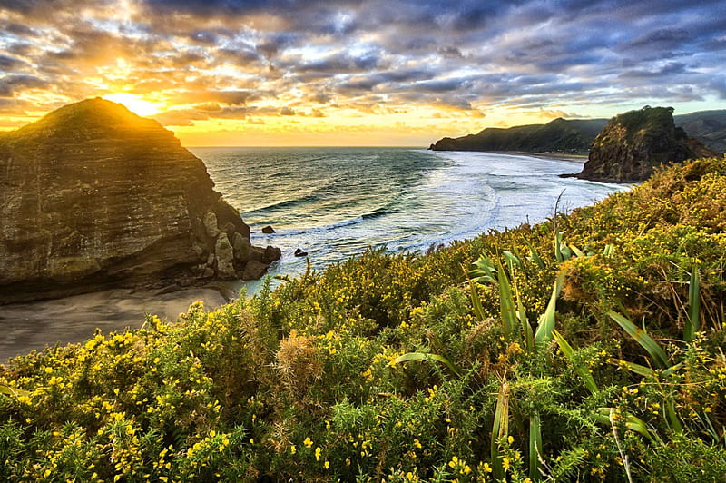 Sea sunrise, pretty, glow, shore, grass, shine, bonito, sunset, clouds, sea, sundown, nice, flowers, sunrise, amazing, lovely, view, ocean, sunlight, shoreline, waves, sky, water, rays, summer, nature, sands, HD wallpaper