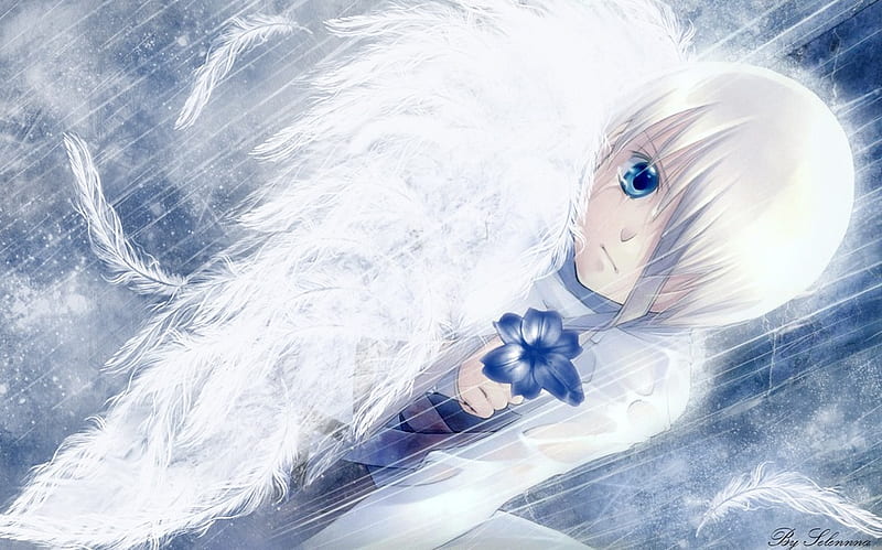 Don't Leave Me!, angel, leave, lonely, sad, flower, white, angel howling, blue, injury, HD wallpaper