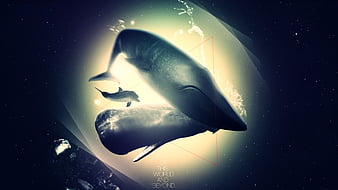 Wallpaper kit, triangle, Space Whale for mobile and desktop