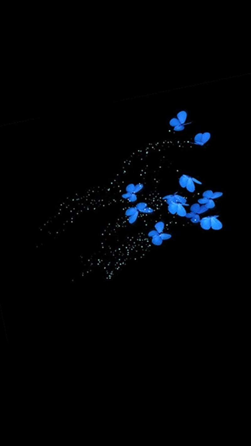 Butterflies, black, blue, butterfly, HD phone wallpaper | Peakpx